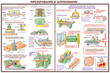 ПС09 Безопасность труда при деревообработке (пластик, А2, 5 листов) - Плакаты - Безопасность труда - Магазин охраны труда ИЗО Стиль